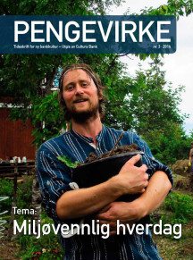 Pengevirke 3 / 2014-coverbilde